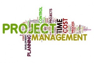 stock-photo-24781145-project-management-in-tag-cloud